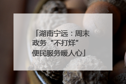 湖南宁远：周末政务“不打烊” 便民服务暖人心