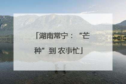 湖南常宁：“芒种”到 农事忙