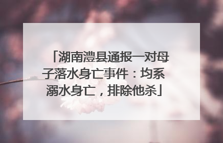 湖南澧县通报一对母子落水身亡事件：均系溺水身亡，排除他杀