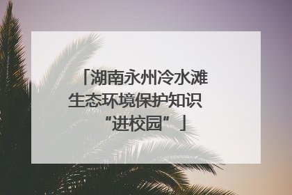湖南永州冷水滩生态环境保护知识“进校园”