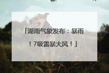 湖南气象发布：暴雨！7级雷暴大风！