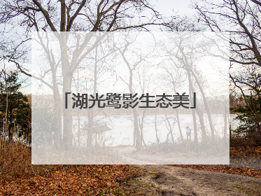 湖光鹭影生态美