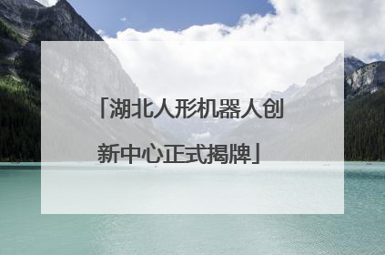 湖北人形机器人创新中心正式揭牌