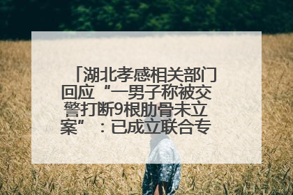 湖北孝感相关部门回应“一男子称被交警打断9根肋骨未立案”：已成立联合专班开展工作