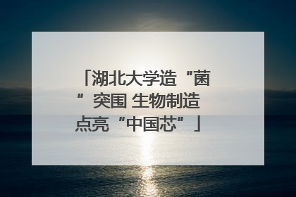 湖北大学造“菌”突围 生物制造点亮“中国芯”