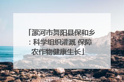 漯河市舞阳县保和乡：科学组织灌溉 保障农作物健康生长