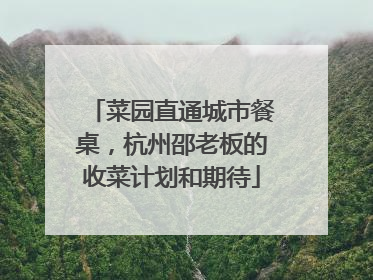 菜园直通城市餐桌，杭州邵老板的收菜计划和期待