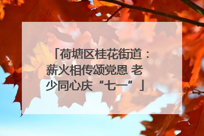 荷塘区桂花街道：薪火相传颂党恩 老少同心庆“七一”