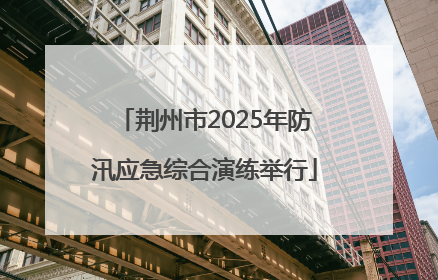 荆州市2025年防汛应急综合演练举行