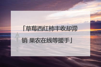 草莓西红柿丰收却滞销 果农在线等援手