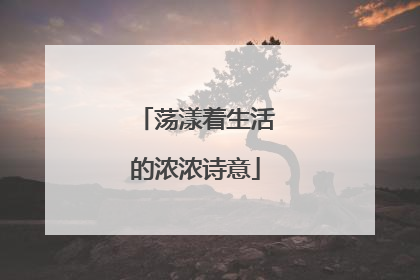 荡漾着生活的浓浓诗意