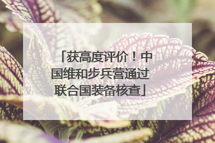 获高度评价！中国维和步兵营通过联合国装备核查