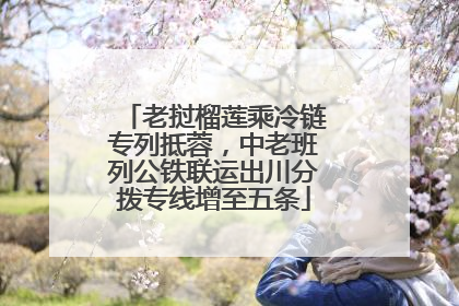 老挝榴莲乘冷链专列抵蓉，中老班列公铁联运出川分拨专线增至五条