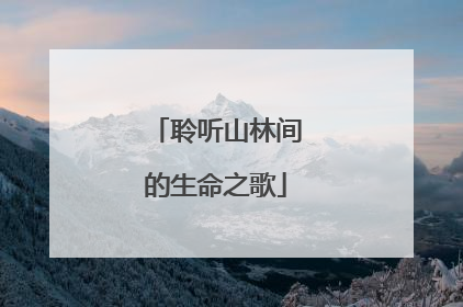 聆听山林间的生命之歌