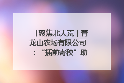 聚焦北大荒｜青龙山农场有限公司：“插前寄秧”助力农业节本增效