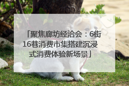 聚焦廊坊经洽会：6街16巷消费市集搭建沉浸式消费体验新场景