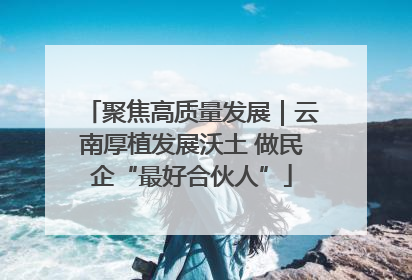聚焦高质量发展｜云南厚植发展沃土 做民企“最好合伙人”
