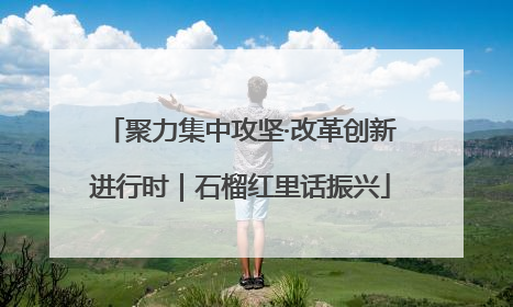 聚力集中攻坚·改革创新进行时｜石榴红里话振兴