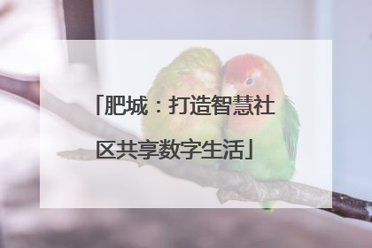 肥城：打造智慧社区共享数字生活