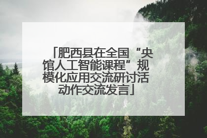 肥西县在全国“央馆人工智能课程”规模化应用交流研讨活动作交流发言