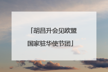 胡昌升会见欧盟国家驻华使节团