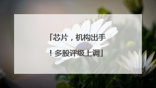 芯片，机构出手！多股评级上调