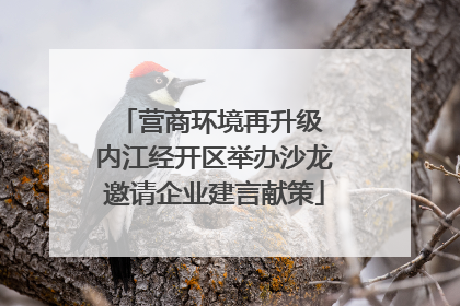 营商环境再升级 内江经开区举办沙龙邀请企业建言献策