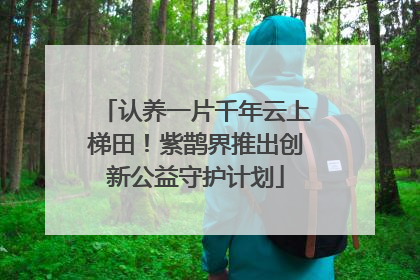认养一片千年云上梯田！紫鹊界推出创新公益守护计划