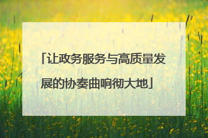 让政务服务与高质量发展的协奏曲响彻大地