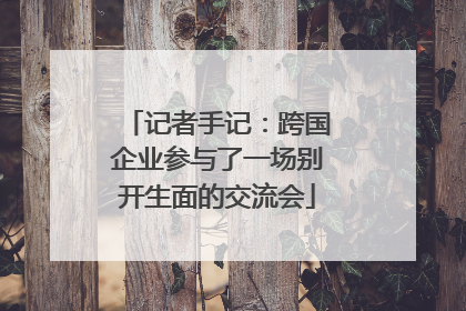 记者手记：跨国企业参与了一场别开生面的交流会