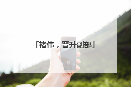 褚伟，晋升副部