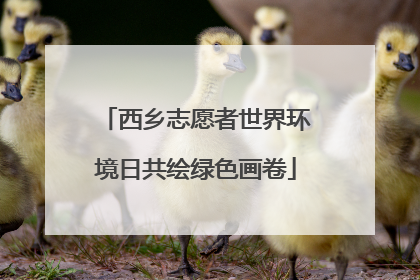 西乡志愿者世界环境日共绘绿色画卷