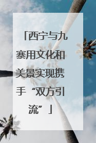 西宁与九寨用文化和美景实现携手“双方引流”