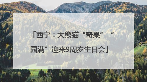 西宁：大熊猫“奇果”“园满”迎来9周岁生日会