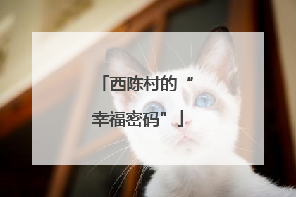 西陈村的“幸福密码”