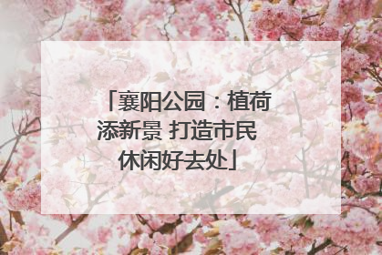 襄阳公园：植荷添新景 打造市民休闲好去处
