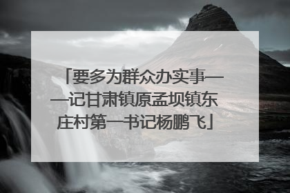 要多为群众办实事——记甘肃镇原孟坝镇东庄村第一书记杨鹏飞