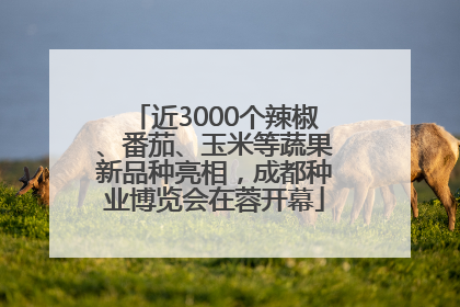 近3000个辣椒、番茄、玉米等蔬果新品种亮相，成都种业博览会在蓉开幕