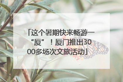 这个暑期快来畅游一“厦”！厦门推出3000多场次文旅活动