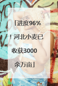 进度96%！河北小麦已收获3000余万亩