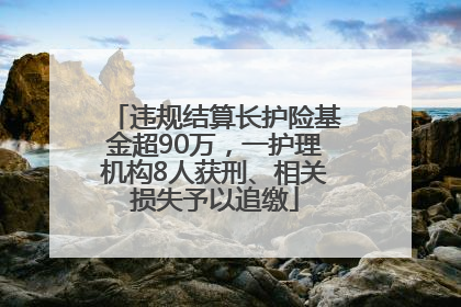 违规结算长护险基金超90万，一护理机构8人获刑、相关损失予以追缴
