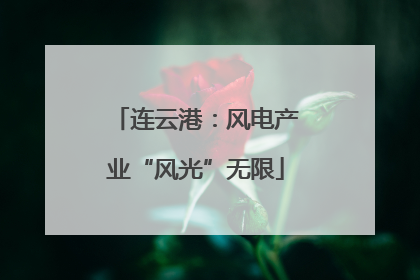 连云港：风电产业“风光”无限