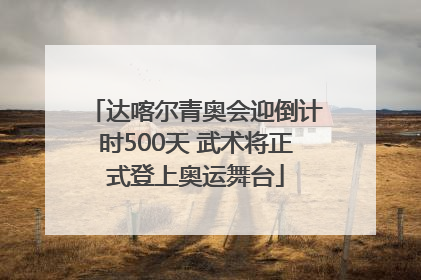 达喀尔青奥会迎倒计时500天 武术将正式登上奥运舞台