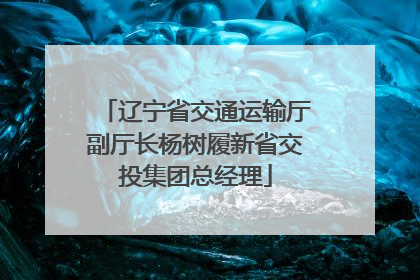 辽宁省交通运输厅副厅长杨树履新省交投集团总经理