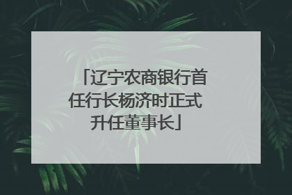 辽宁农商银行首任行长杨济时正式升任董事长