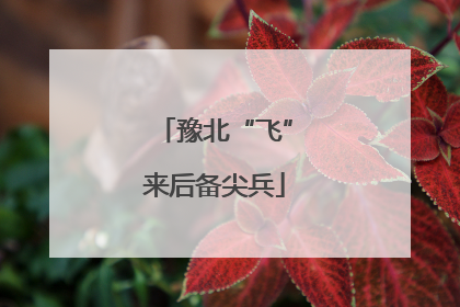 豫北“飞”来后备尖兵