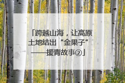 跨越山海，让高原土地结出“金果子”——援青故事②