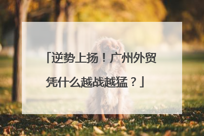 逆势上扬！广州外贸凭什么越战越猛？