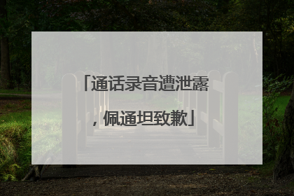 通话录音遭泄露，佩通坦致歉