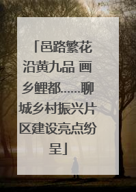 邑路繁花 沿黄九品 画乡鲤都……聊城乡村振兴片区建设亮点纷呈